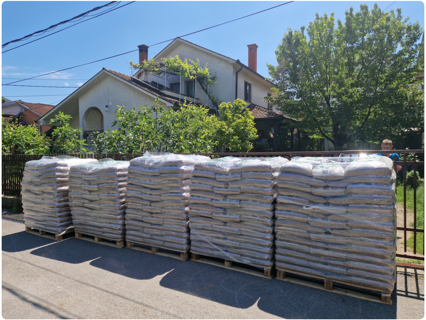 Pelet Beograd - Pelet centar